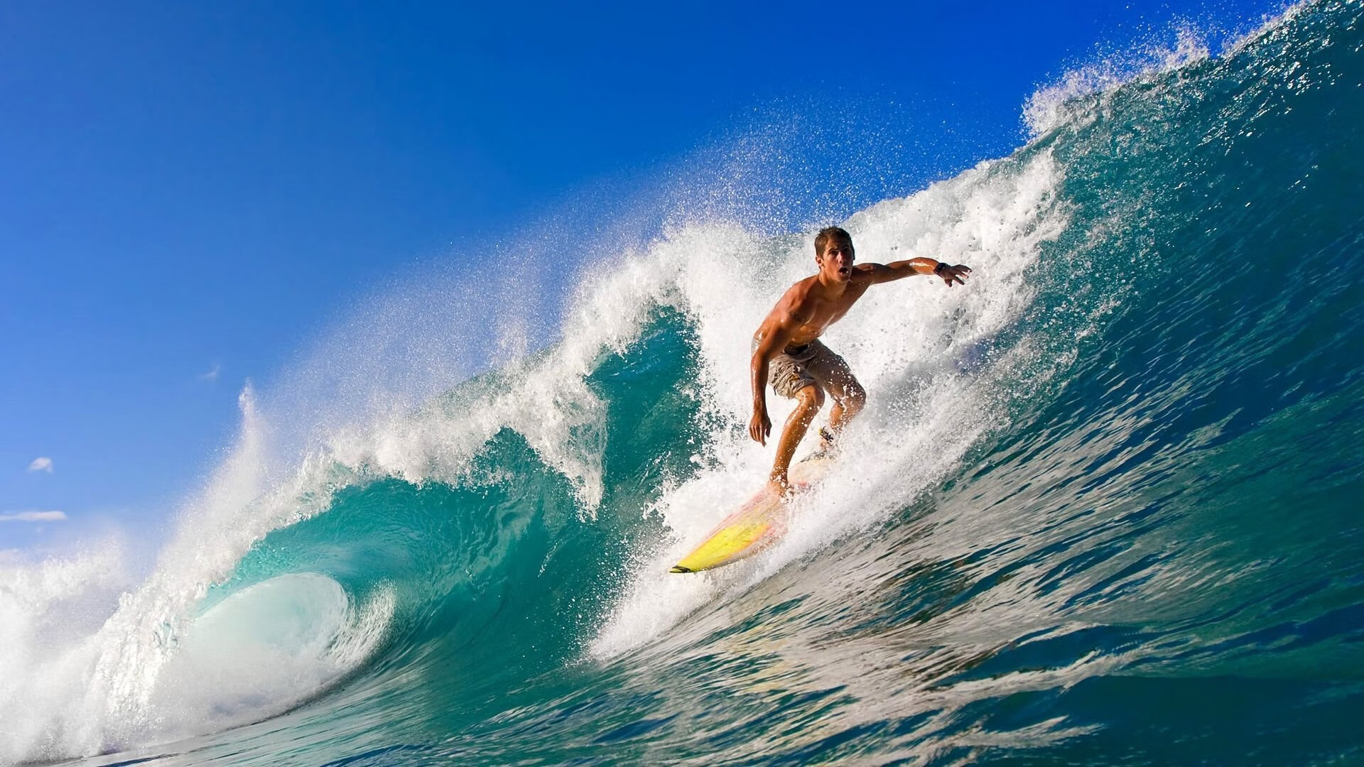 “阿根廷美洲狮队：迈向未来的进攻与防守新风向”